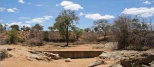 Sand Dams for Africa
